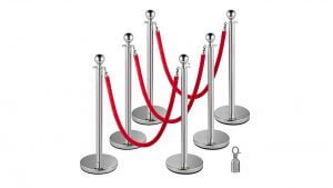 Chrome Stanchion With Red And Black Ropes